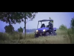 5kw/8KW 2人席 電動農場 UTV 4X4 輸送トラック