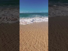 競技場 競技場 電気 DTV スクーター タンク ETV スノーモバイル ATV