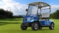 Left Hand Drive 2 Seats Electric Car Golf Cart With Deep Recycle Batteries